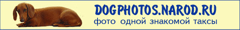 Фотографии собак, в особенности такс!